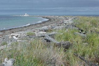 Dungeness National Wildlife Refuge