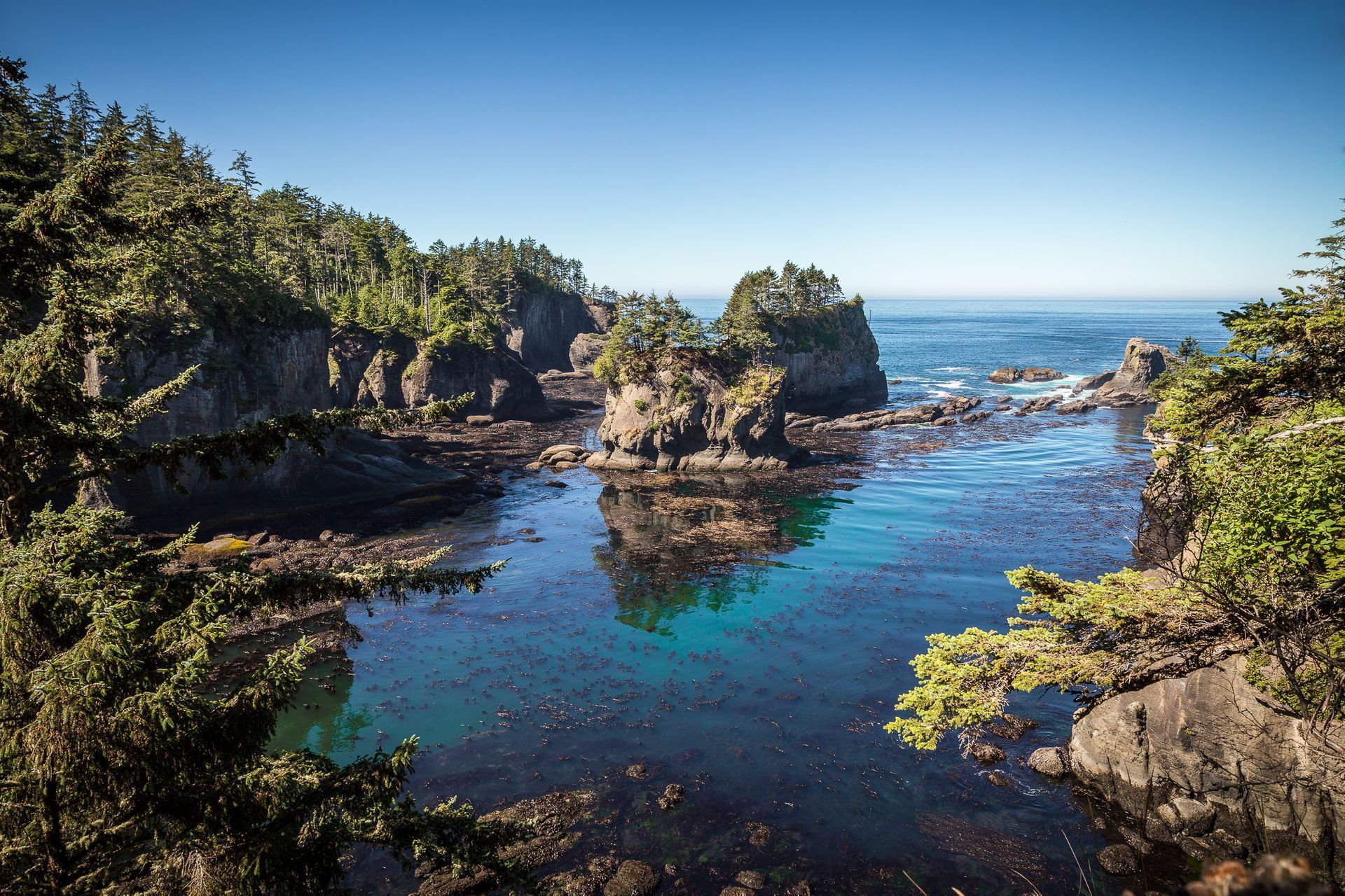 Cape Flattery