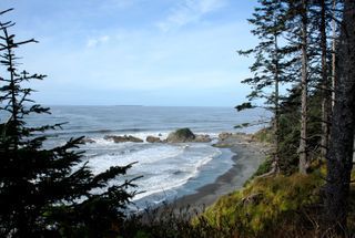 Kalaloch Beach and Campground