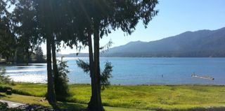 Lake Quinault