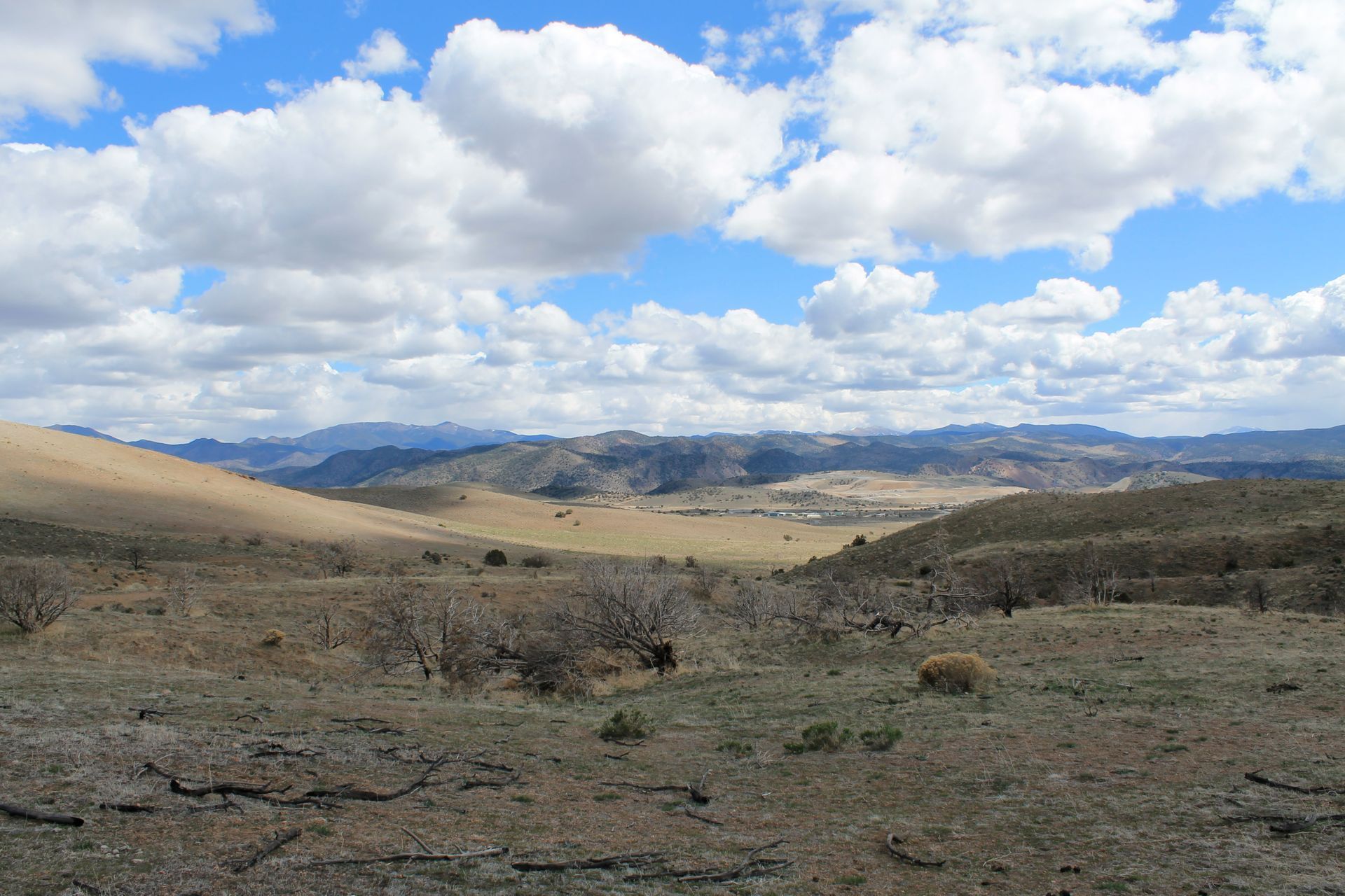 Centennial Park, Carson City