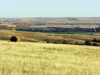 Oregon Trail Trading Post