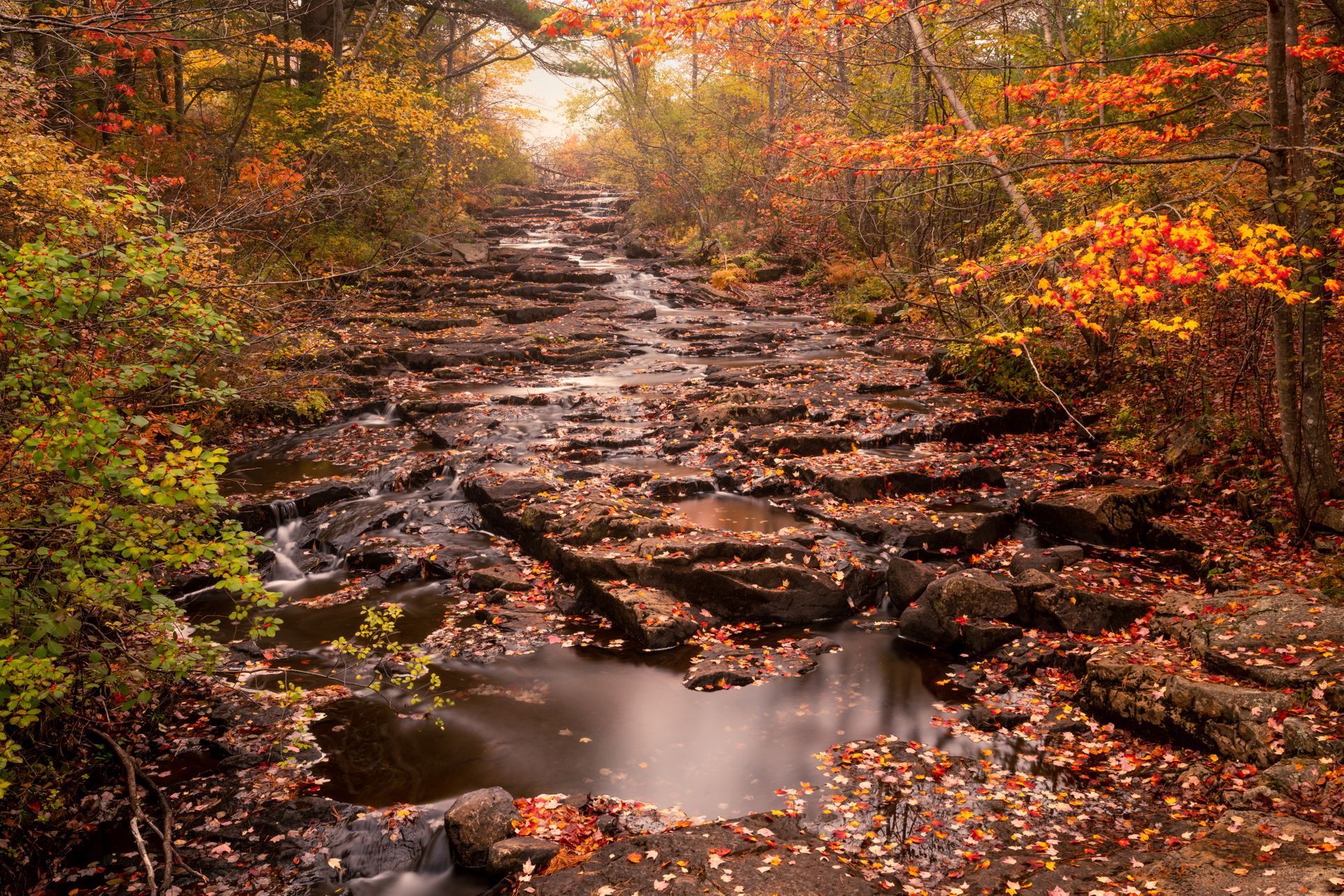 Duck Brook in Acadia National Park