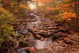 Acadia National Park