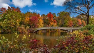 Central Park