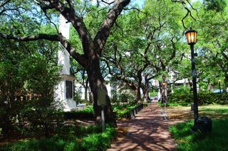 Johnson Square