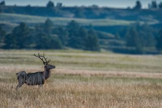 Fort Niobrara National Wildlife Refuge