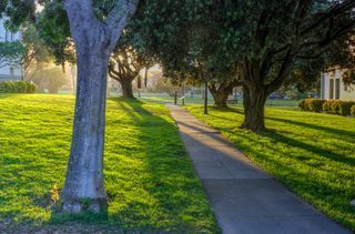 Park Trail at the Presidio