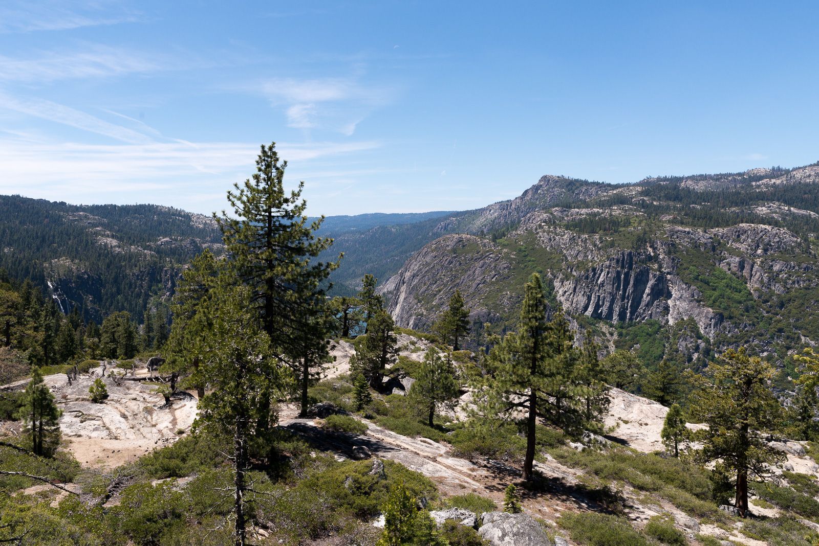 Stanislaus National Forest, California, US