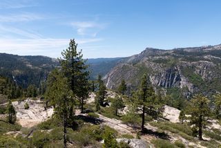 Stanislaus National Forest