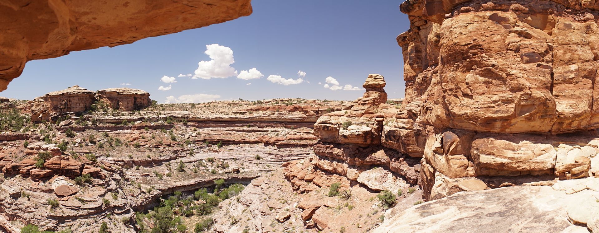 Big Spring Canyon Overlook