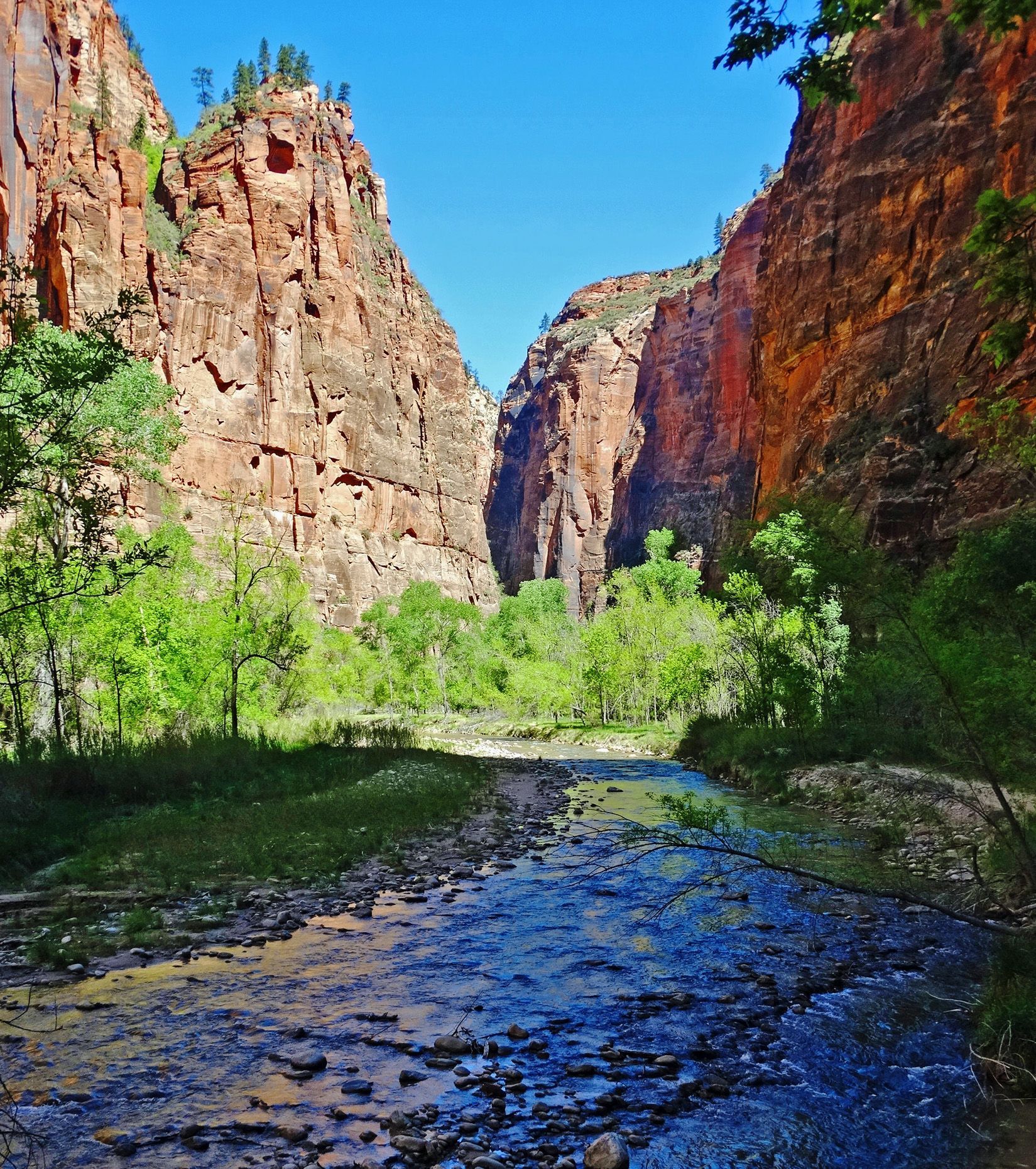 River Walk, Zion National Park 5-14