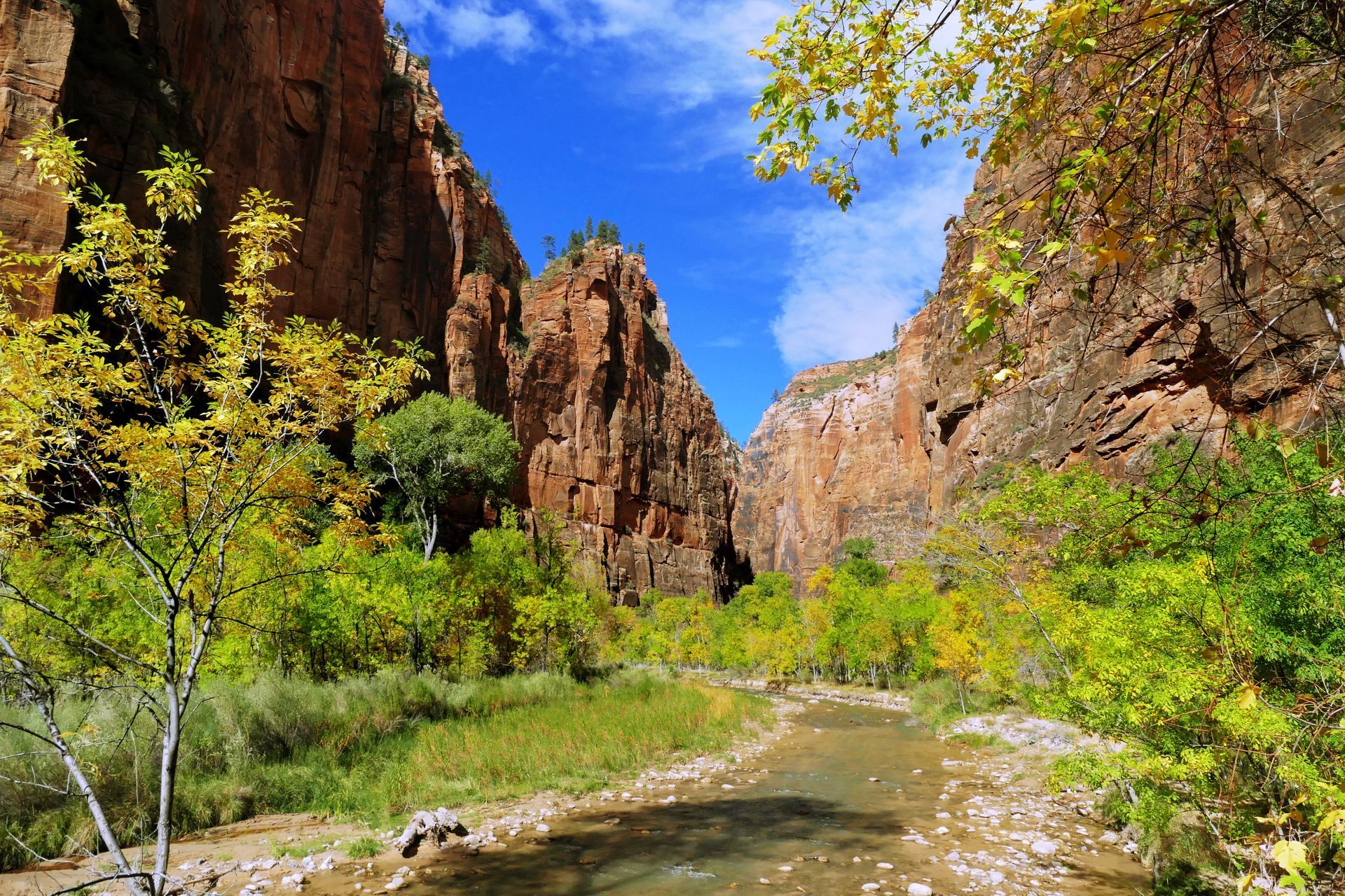 Virgin River Zion NP.