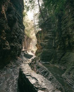 Watkins Glen State Park