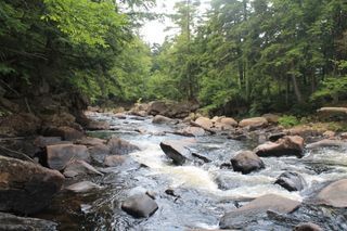 Adirondack Park - Auger Falls