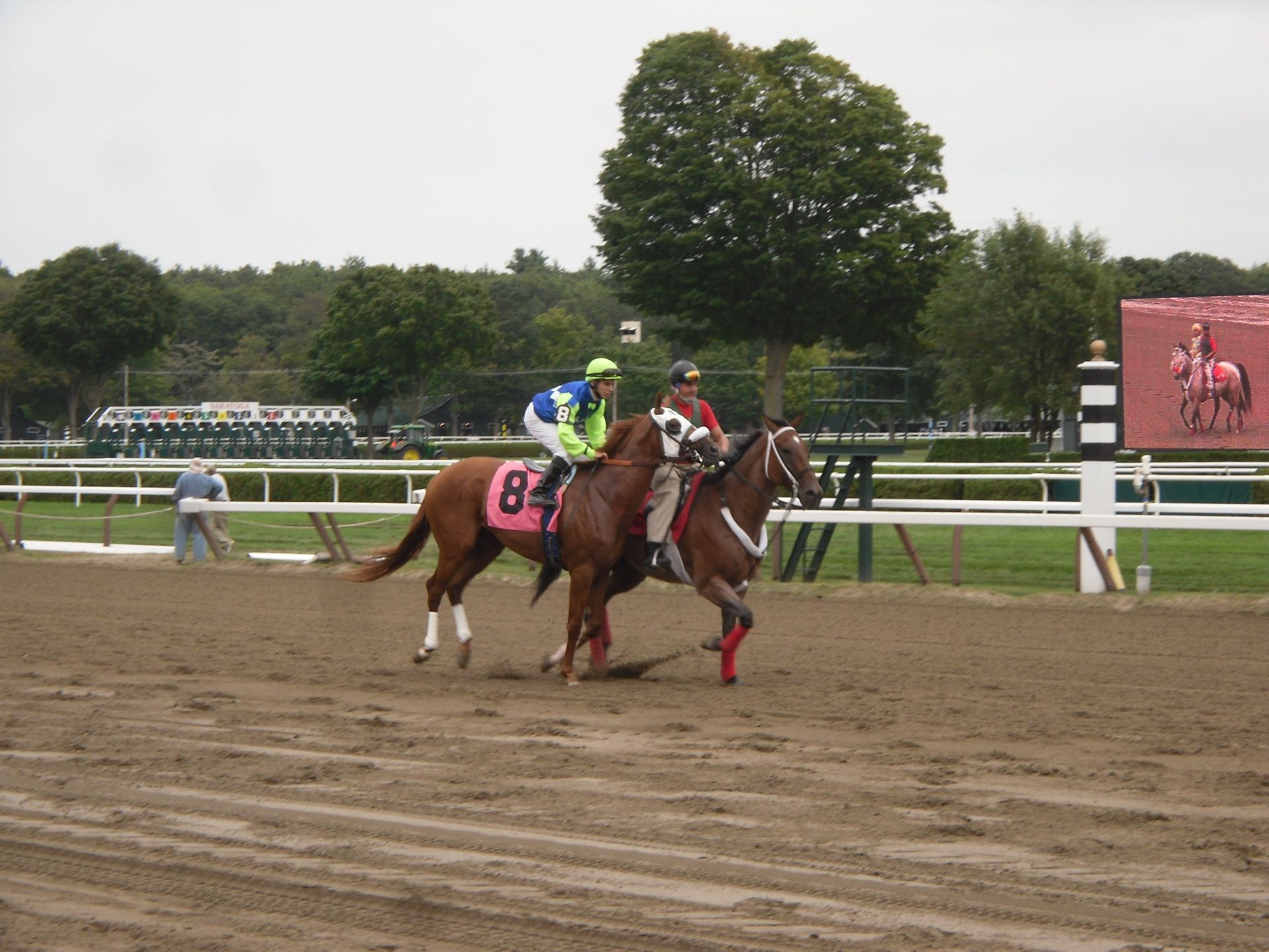 Saratoga Race Course - New York