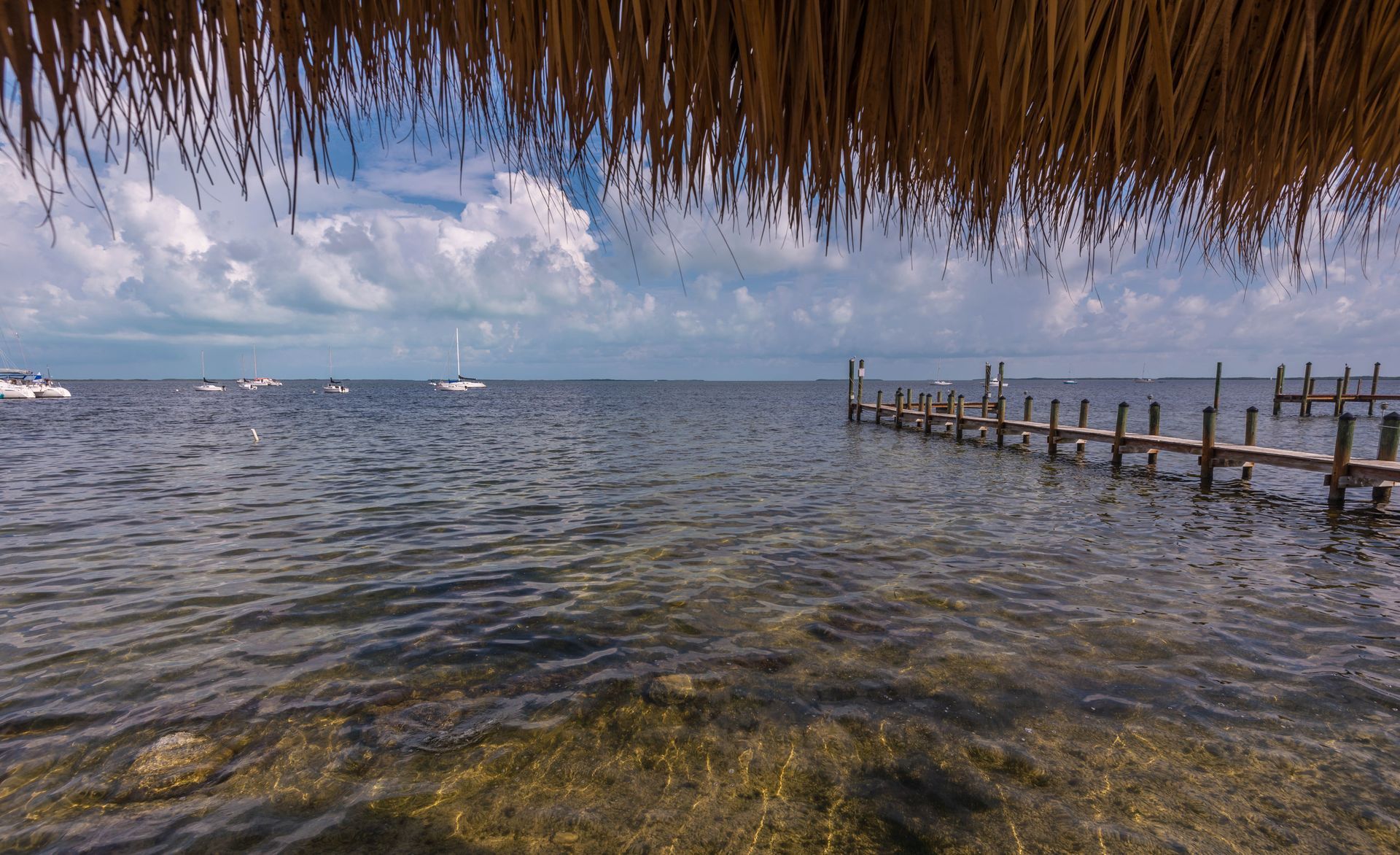 Key Largo Morning