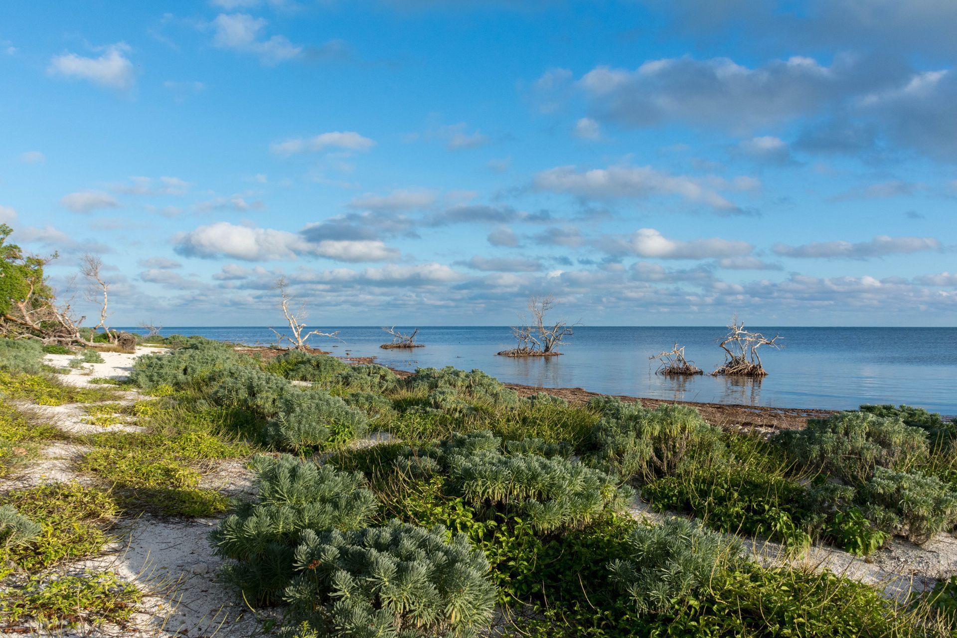 Big Pine Key Fishing Lodge @ Big Pine key