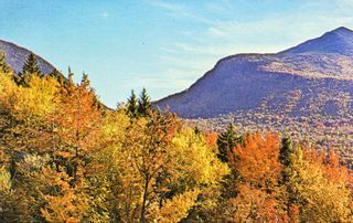 White Mountain National Forest