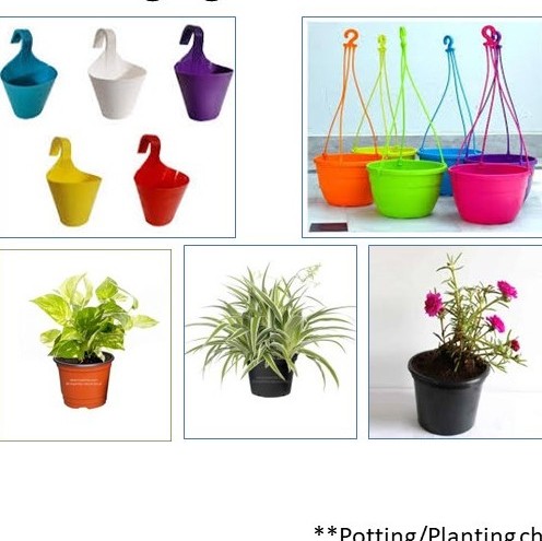 Hanging Planter - Balcony Kit