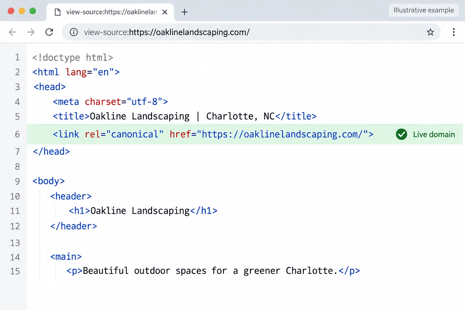 Illustrative example: screenshot of page source showing the canonical tag pointing to the correct live domain