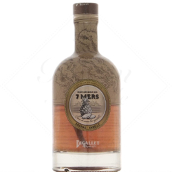 Image of the front of the bottle of the rum Bigallet Rhum arrangé des 7 mers Ananas Vanille