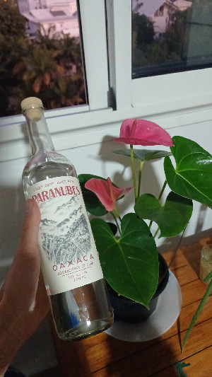 Photo of the rum Oaxaca taken from user Barnagricole