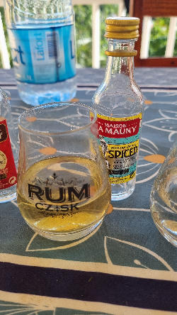 Photo of the rum Spiced taken from user Martin Švojgr