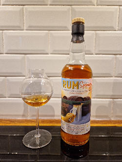 Photo of the rum Rum Sponge No. 22 taken from user FischeJ