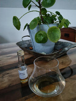 Photo of the rum Planteray Cut and Dry Coconut Rum taken from user Tim 