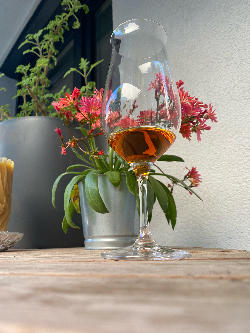 Photo of the rum HERR Japoniani HERR taken from user Joachim Guger