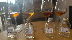 Photo of the rum S.B.S Jamaica 2021 (American Virgin Oak) WPE taken from user DeMaddin