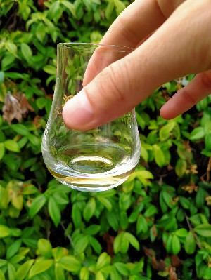 Photo of the rum L‘Arbre Du Voyageur taken from user Djehey
