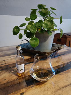 Photo of the rum Madeira Rum taken from user Tim 