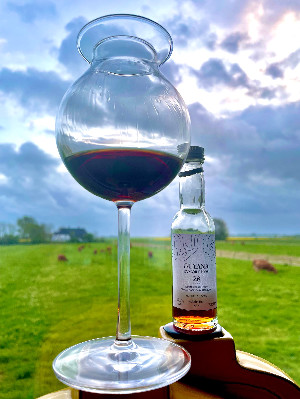 Photo of the rum No. 31 REV taken from user Frank