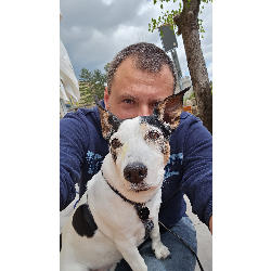 Profile picture of user