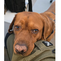 Profile picture of user