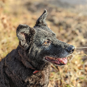 Profile picture of user
