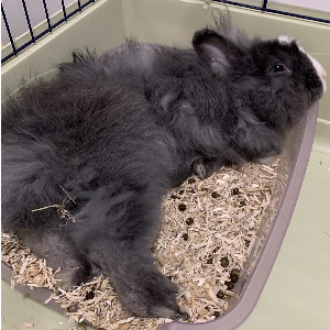 Profile picture of user