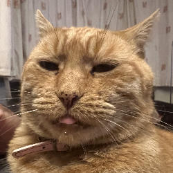 Profile picture of user