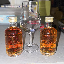 Profile picture of user