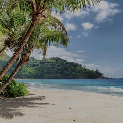 Profile picture of user