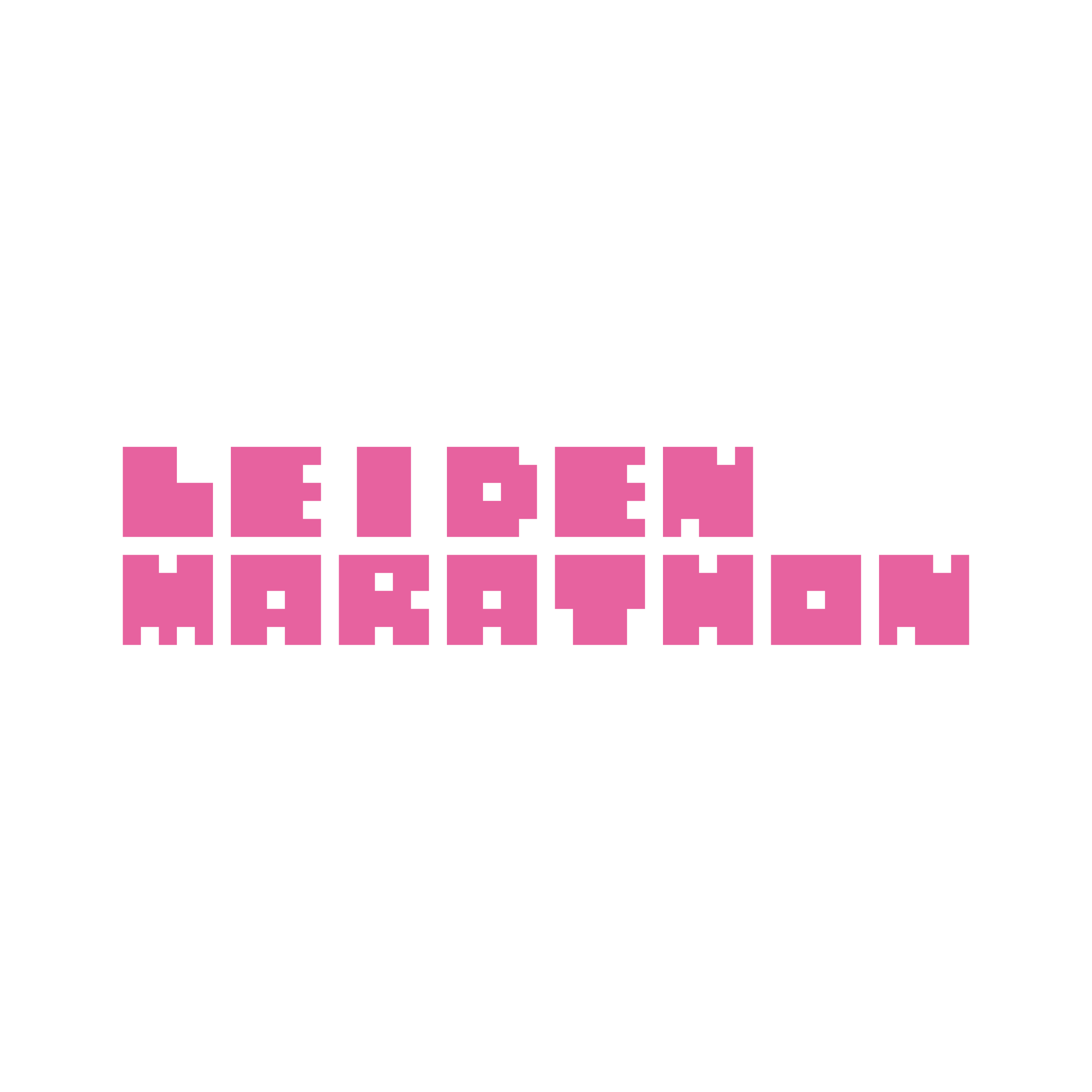 Leiden Marathon