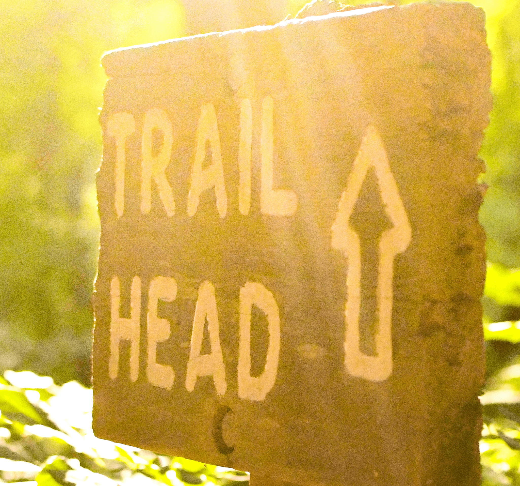 Dirtbags Trail Run Club