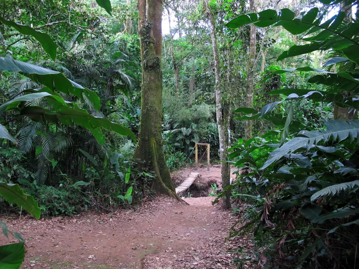 Parque del Este