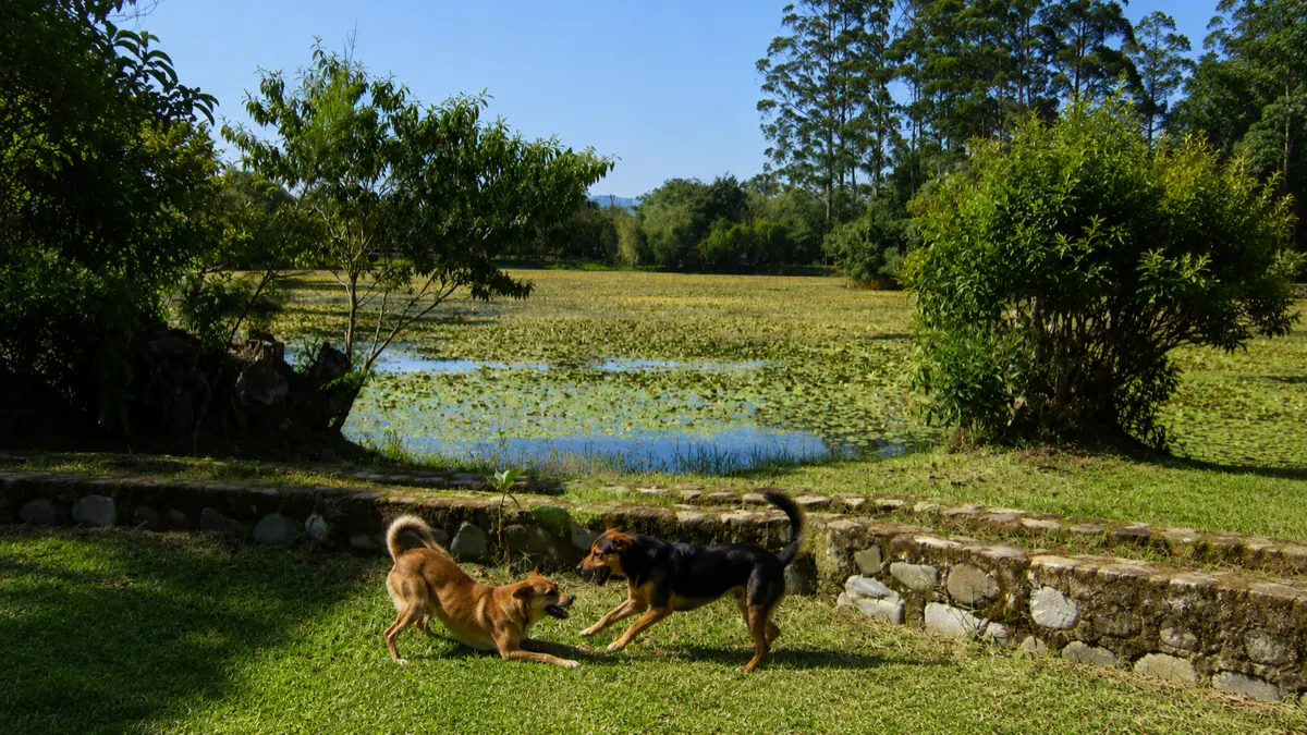 Parque La Expresión / Laguna Doña Ana