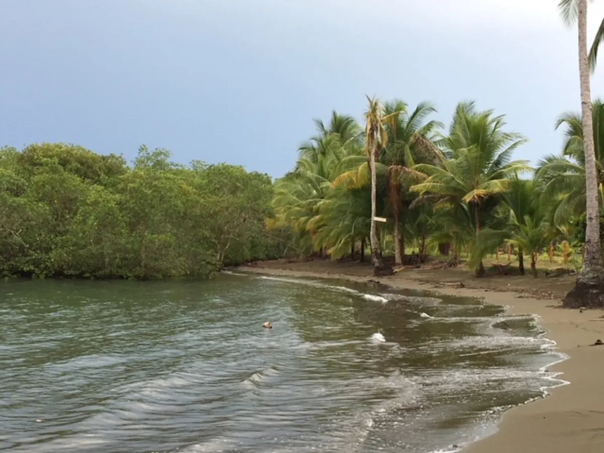 Puerto Jiménez