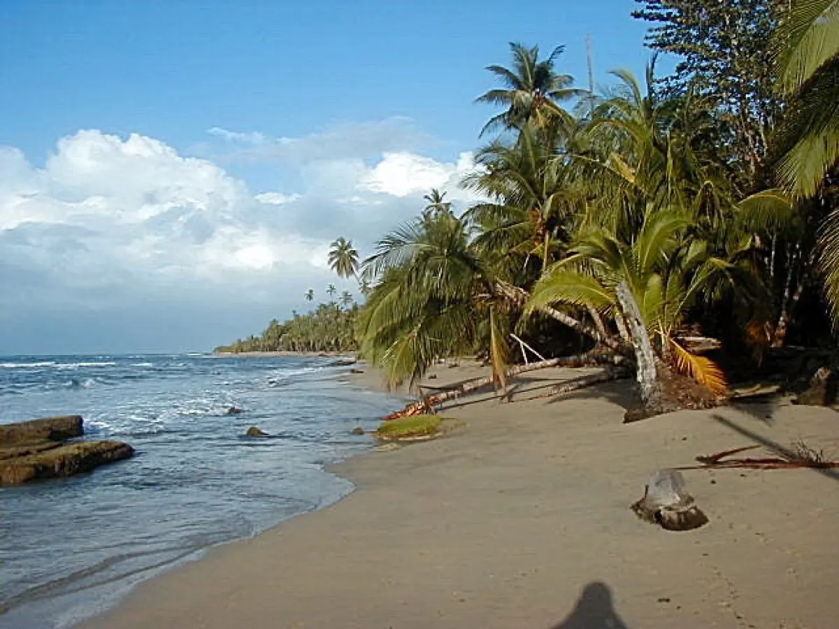 Punta Uva