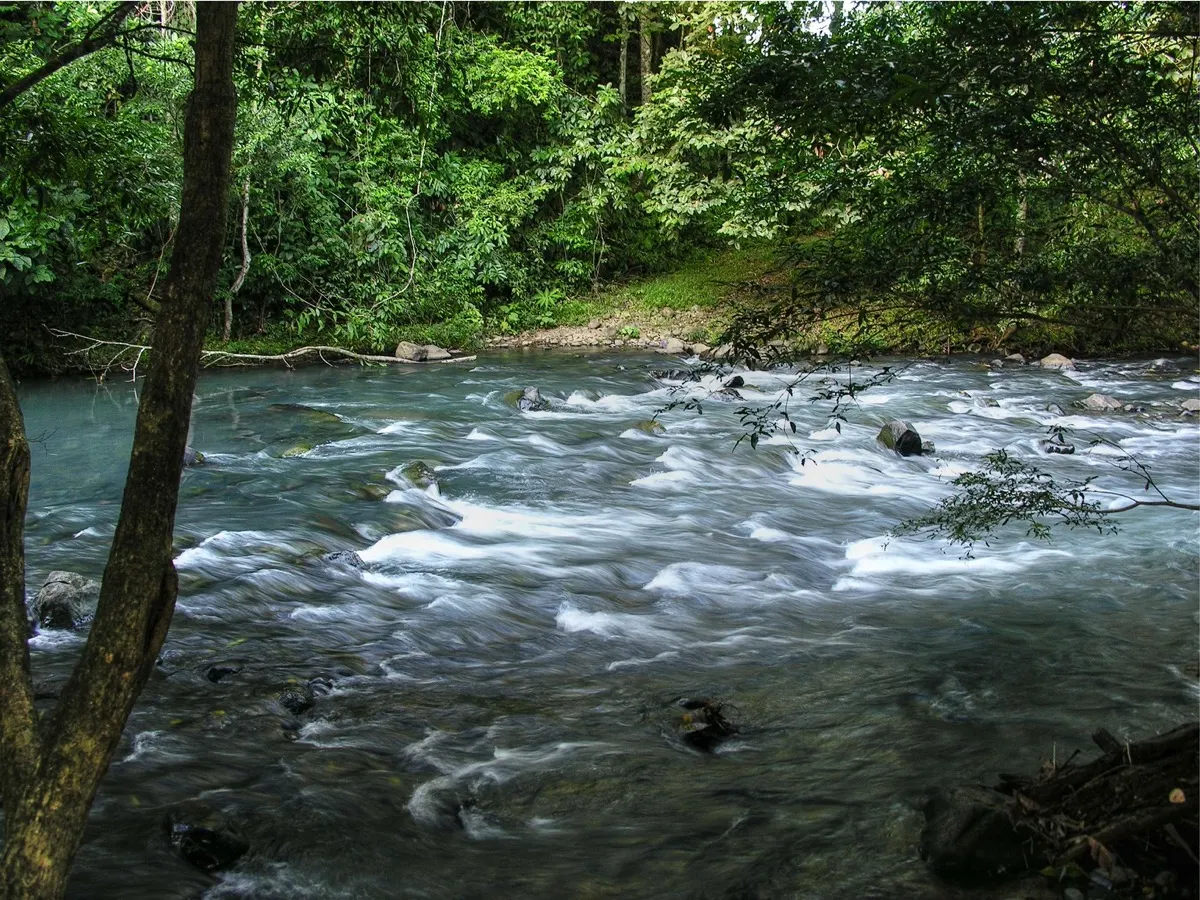 Río Celeste