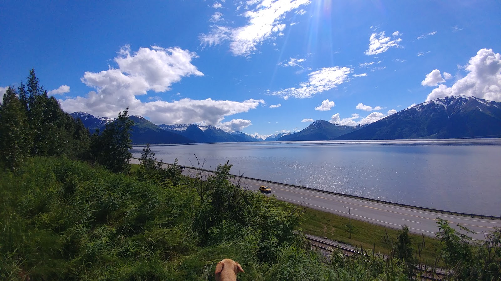 Anchorage small businesses